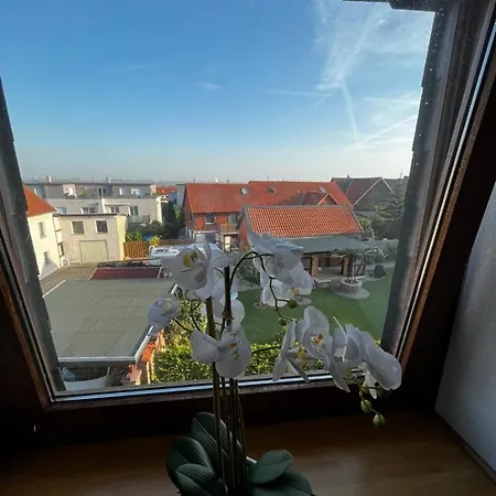 4 Sz-lichtenberg * Salzgitter