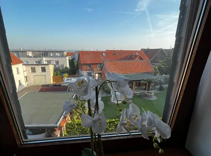 4 Sz-lichtenberg * Зальцгиттер